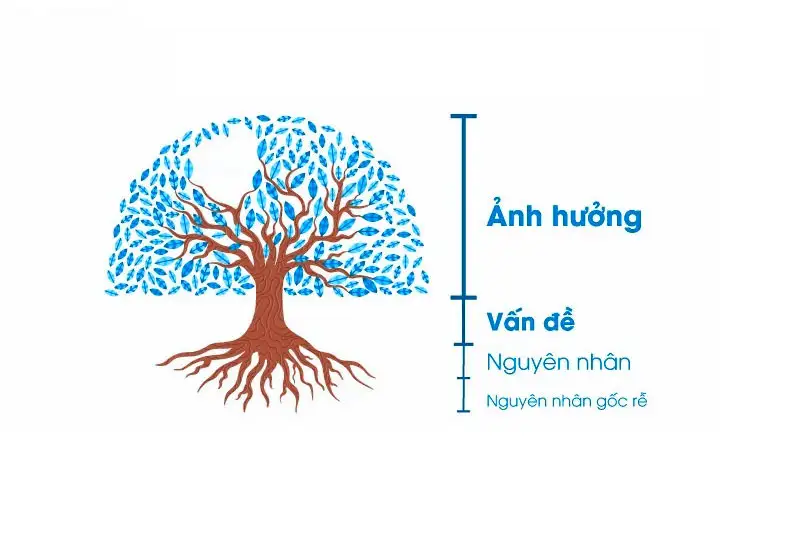 Xac dinh nguyen nhan goc re cua van de