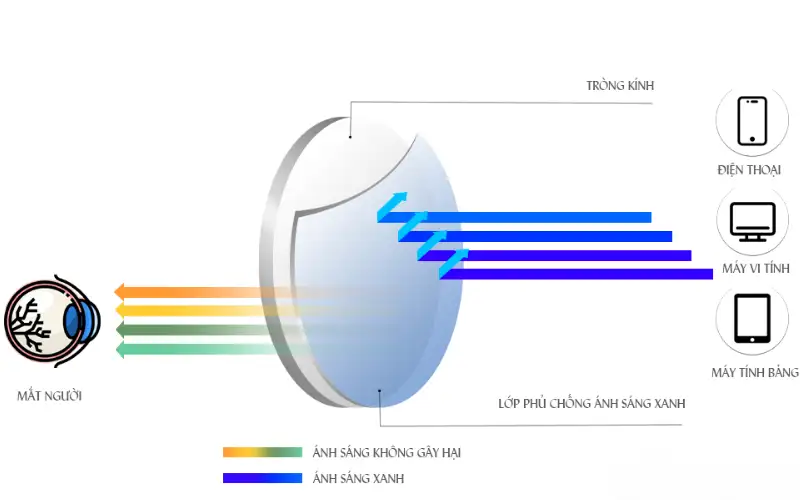 Tư Vấn Kính Chống Ánh Sáng Xanh: Bảo Vệ Mắt Toàn Diện Trong Kỷ Nguyên Số 5 Co che hoat dong