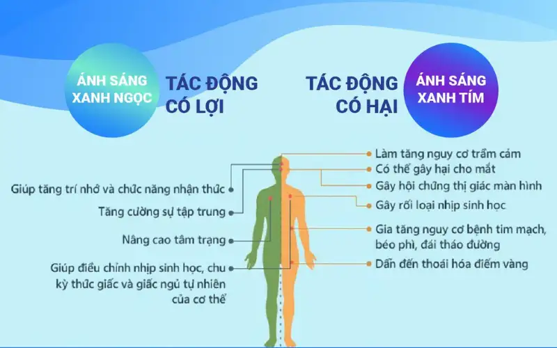 Cửa Hàng Kính Chống Ánh Sáng Xanh Uy Tín: Bảo Vệ Đôi Mắt Khỏi Tác Hại Công Nghệ 2 kinh can chong anh sang xanh 4
