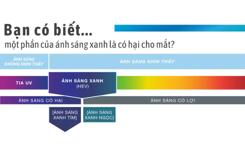 Phân Biệt Kính Chống Ánh Sáng Xanh Thật Giả: Hướng Dẫn Chi Tiết A-Z 2 kinh chong anh sang xanh tot nhat