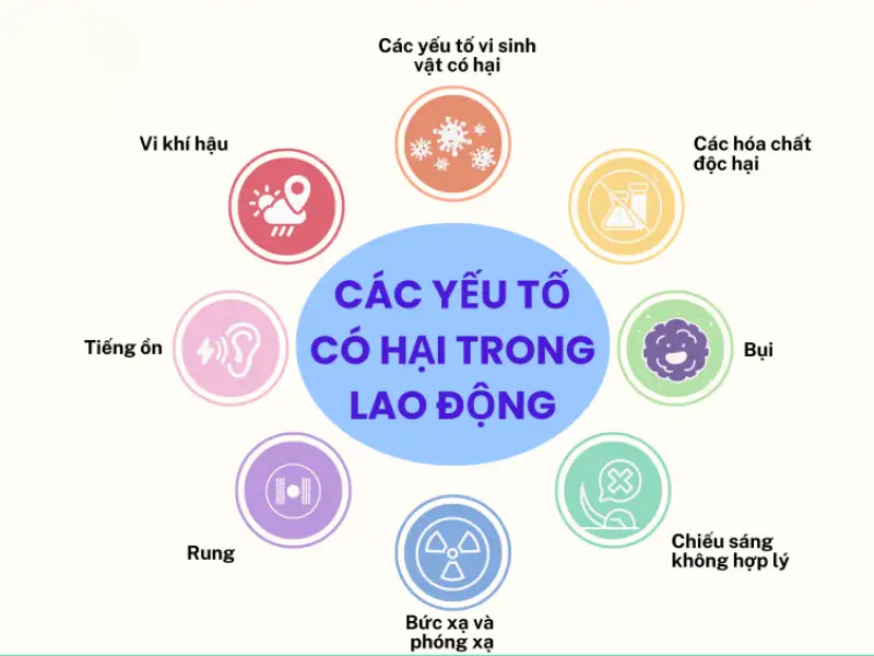 Kinh bao ho lao dong 4