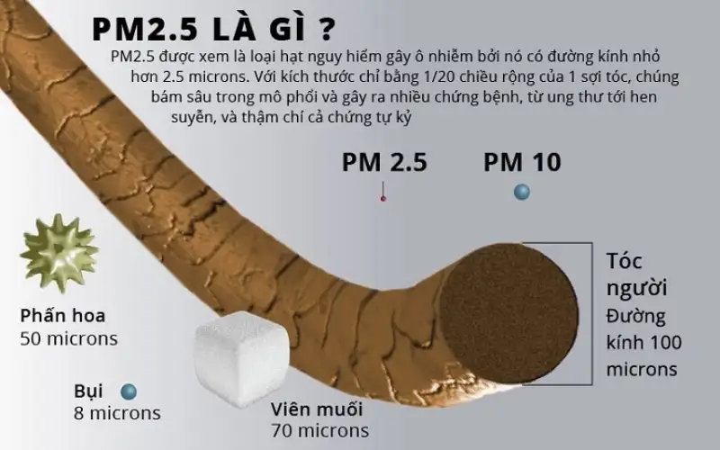 Tác Hại Của Bụi Bẩn Đến Mắt: Nhận Biết, Phòng Tránh & Bảo Vệ Toàn Diện 3 Kinh chong bam van tay 12