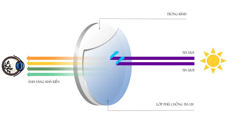 Trong kinh chong tia uv 3