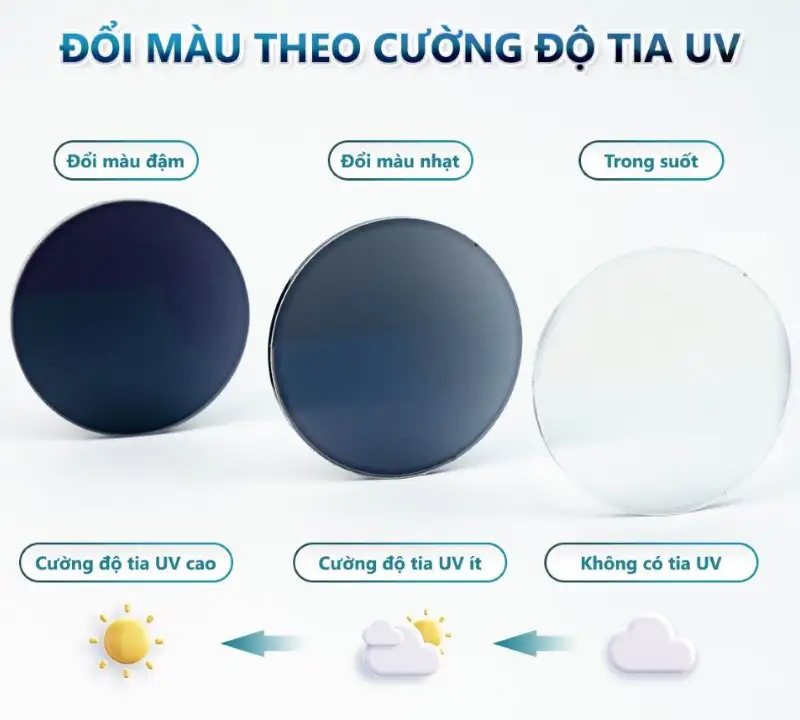 Trong kinh chong tia uv 4