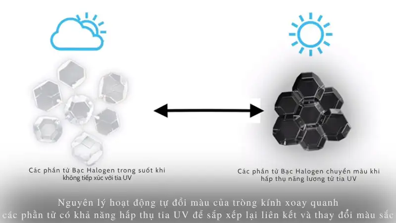 Tròng Kính Đổi Màu (Photochromic Lenses): Tất Tần Tật Từ A-Z 4 Trong kinh doi mau 3