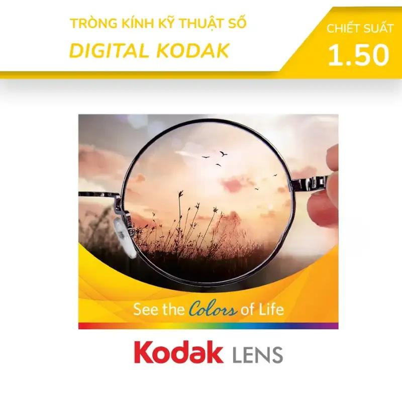 Các Loại Kính Chống Ánh Sáng Xanh: Phân Loại, So Sánh & Hướng Dẫn Chọn Mua Tối Ưu 12 cac loai kinh chong anh sang xanh 8