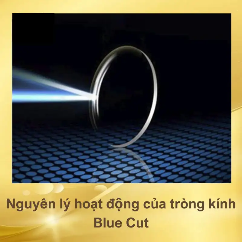 Các Loại Kính Chống Ánh Sáng Xanh: Phân Loại, So Sánh & Hướng Dẫn Chọn Mua Tối Ưu 4 cac loai kinh chong anh sang