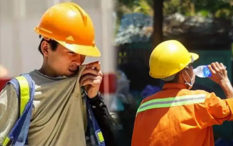 kinh chong anh sang xanh sale 9