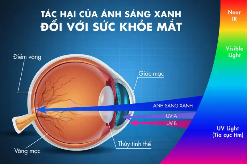 Các Loại Tròng Kính Chống Ánh Sáng Xanh: Bảng So Sánh, Đánh Giá Và Tư Vấn Chọn Lựa 3 Cac loai trong kinh chong anh sang xanh 2