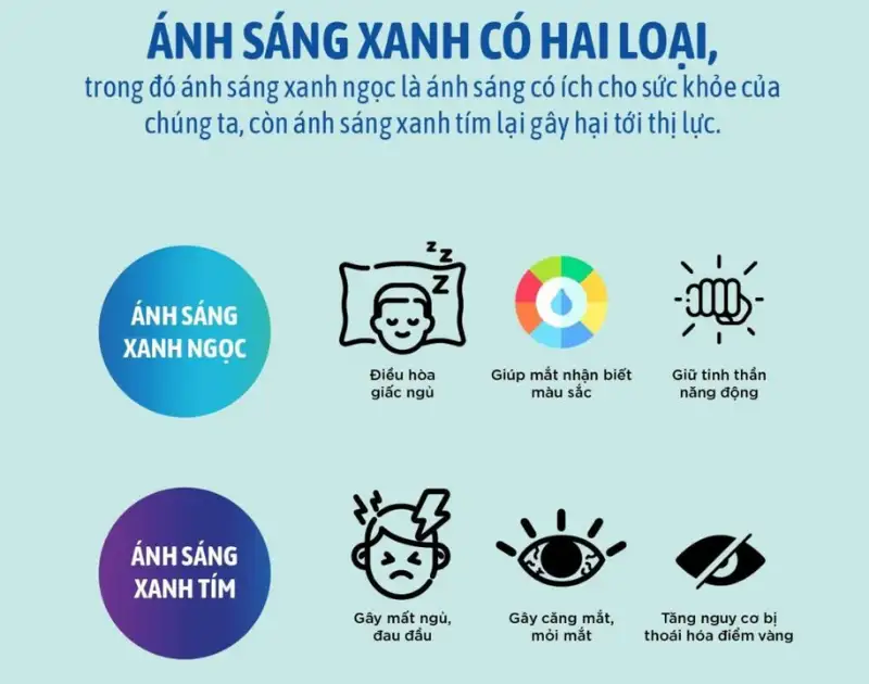 Kính Đổi Màu Chống Ánh Sáng Xanh KAVI, Essilor và Hoya: Loại Nào Phù Hợp Nhất Cho Người Đi Xe Máy Việt Nam? 2 Cac loai trong kinh chong anh sang