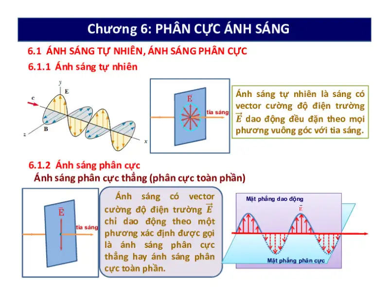 Kính Râm Phân Cực Là Gì? Giải Mã Công Nghệ Chống Chói 5 Kinh ram phan cuc 1