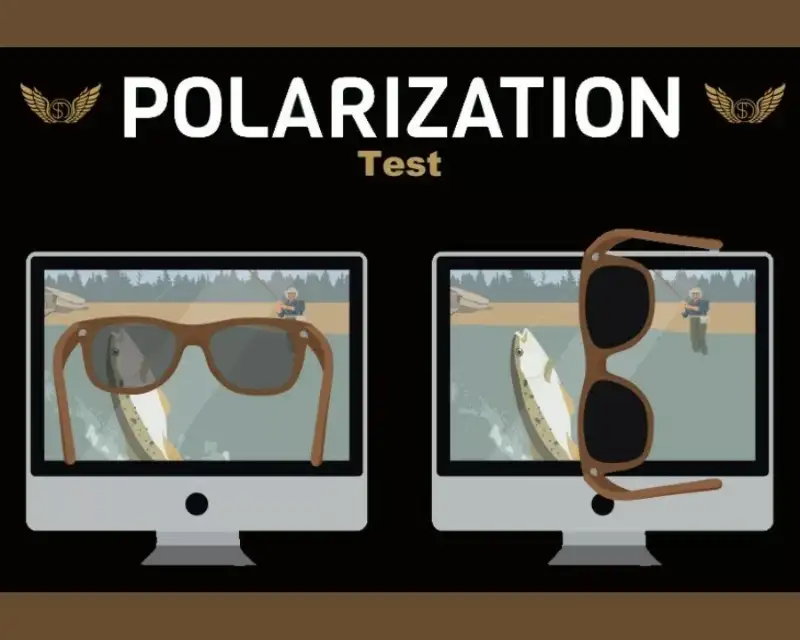 Kính Râm Phân Cực Là Gì? Giải Mã Công Nghệ Chống Chói 14 Kinh ram phan cuc 11