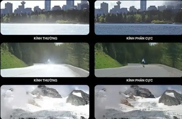 Kính Râm Phân Cực Là Gì? Giải Mã Công Nghệ Chống Chói 8 Kinh ram phan cuc 4