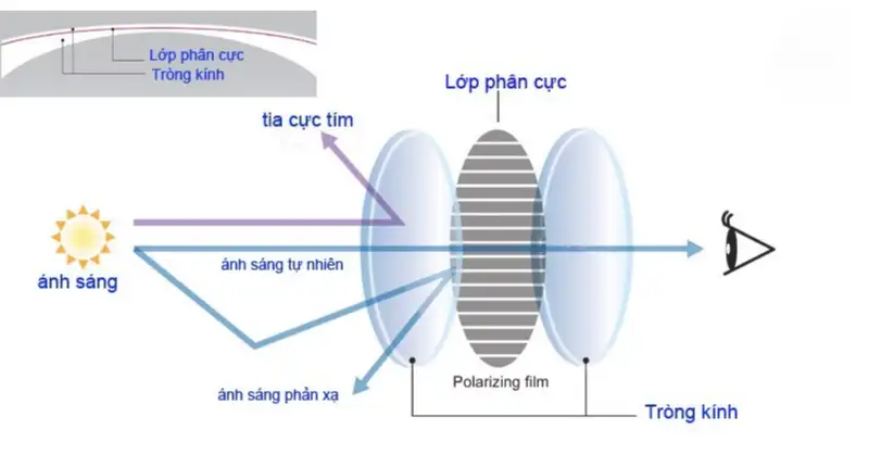 Kính Râm Phân Cực Là Gì? Giải Mã Công Nghệ Chống Chói 6 Kinh ram phan cuc