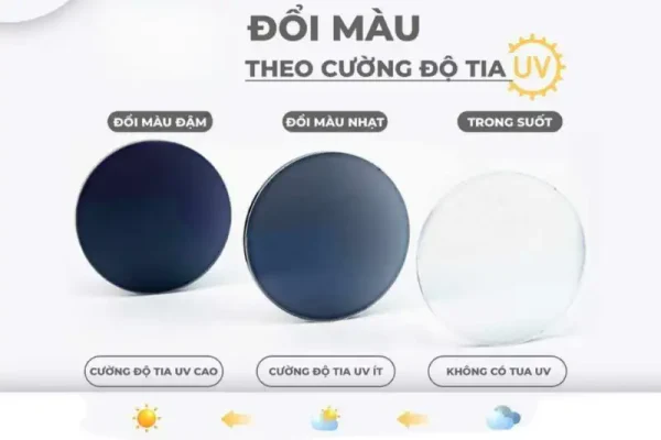 Top 11 dia diem va thuong hieu kinh doi mau can tot nhat o ha noi 8