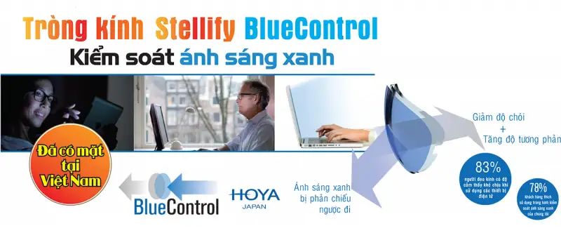 So Sánh KAVI,Hoya Và Tokai: Đâu Là Tròng Kính Chống Ánh Sáng Xanh Phù Hợp Với Bạn? 9 so sanh trong kinh chong anh sang xanh kavi hoya va tokai dau la trong kinh chong anh sang xanh phu hop voi ban 1
