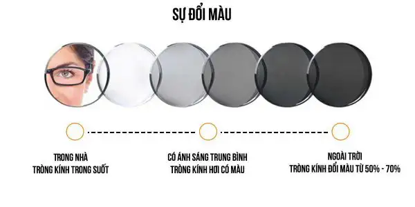 KAVI X6 Blue Gen 2 Photochromic vs Essilor Transitions vs Zeiss: Tại Sao Chênh 4 Lần? 3 su doi mau