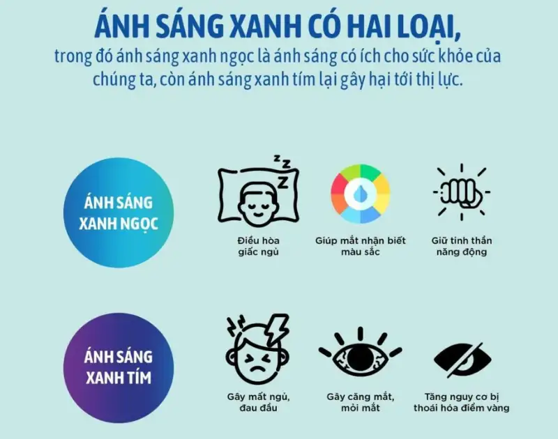 5 Loại Tròng Kính Chống Ánh Sáng Xanh Bạn Không Bao Giờ Nên Mua 2 5 loai trong kinh chong anh sang xanh ban khong bao gio nen mua