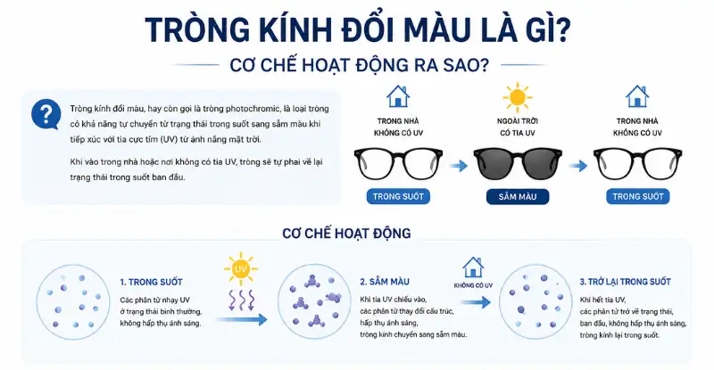 Top 10 loại tròng đổi màu tốt nhất theo giá từ thấp đến cao 2 top 10 loai trong doi mau tot nhat theo gia tu thap den cao 12