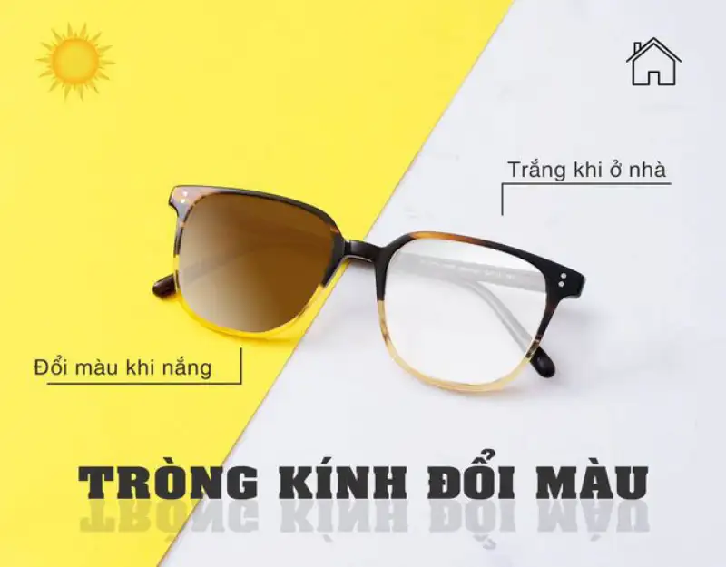 Top 5 Tròng Kính Đổi Màu Nhanh (Fast Transition) Đáng Mua Nhất 2026 9 top 5 trong kinh doi mau nhanh fast transition dang mua nhat 2026 6