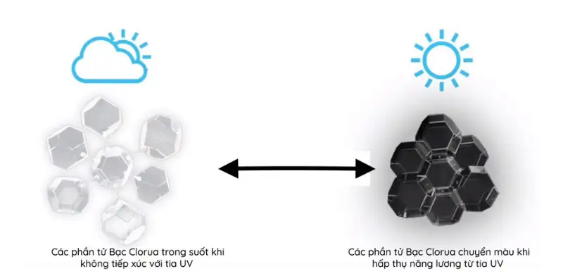 Tròng Kính Đổi Màu Chống Chói Ban Ngày: Loại Nào Đổi Màu Nhanh Nhất Và Bền Nhất? 3 trong kinh doi mau chong choi ban ngay doi mau nhanh nhat ben nhat 1